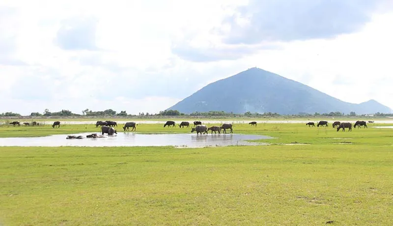 Strolling and sightseeing by Dau Tieng Lake to feel the peace