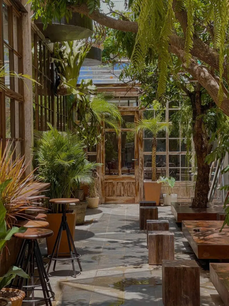 Tan. Cafe đón nhận ánh sáng tự nhiên chan hòa