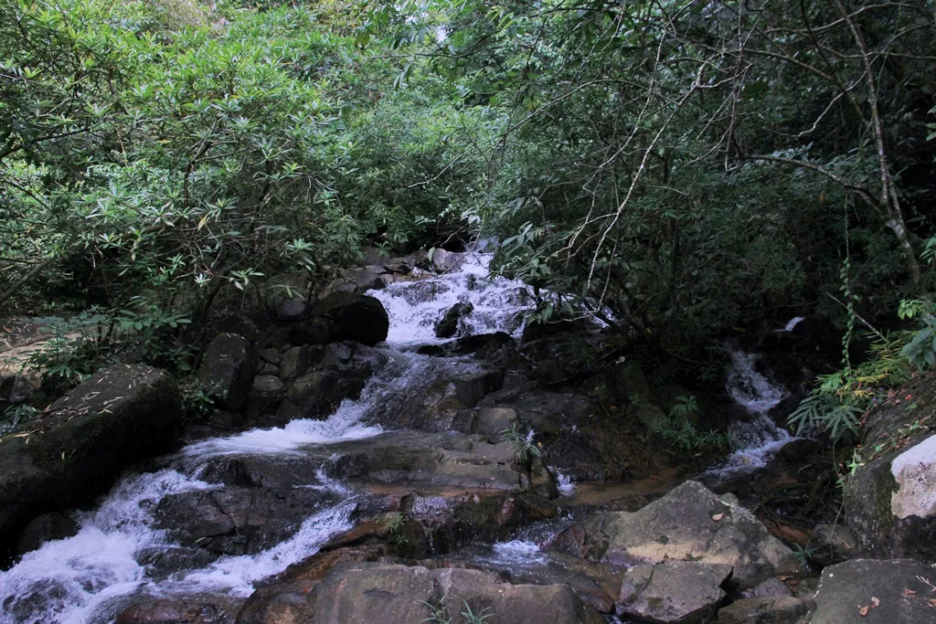 Thác Voi Madagui Lâm Đồng