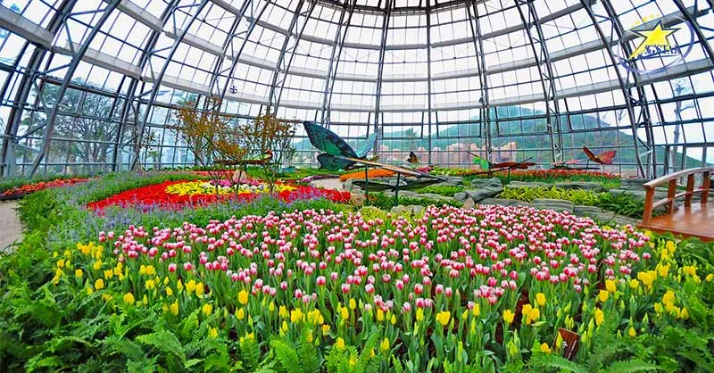 Tham quan Đồi Vạn Hoa rực rỡ sắc màu tại World's Garden