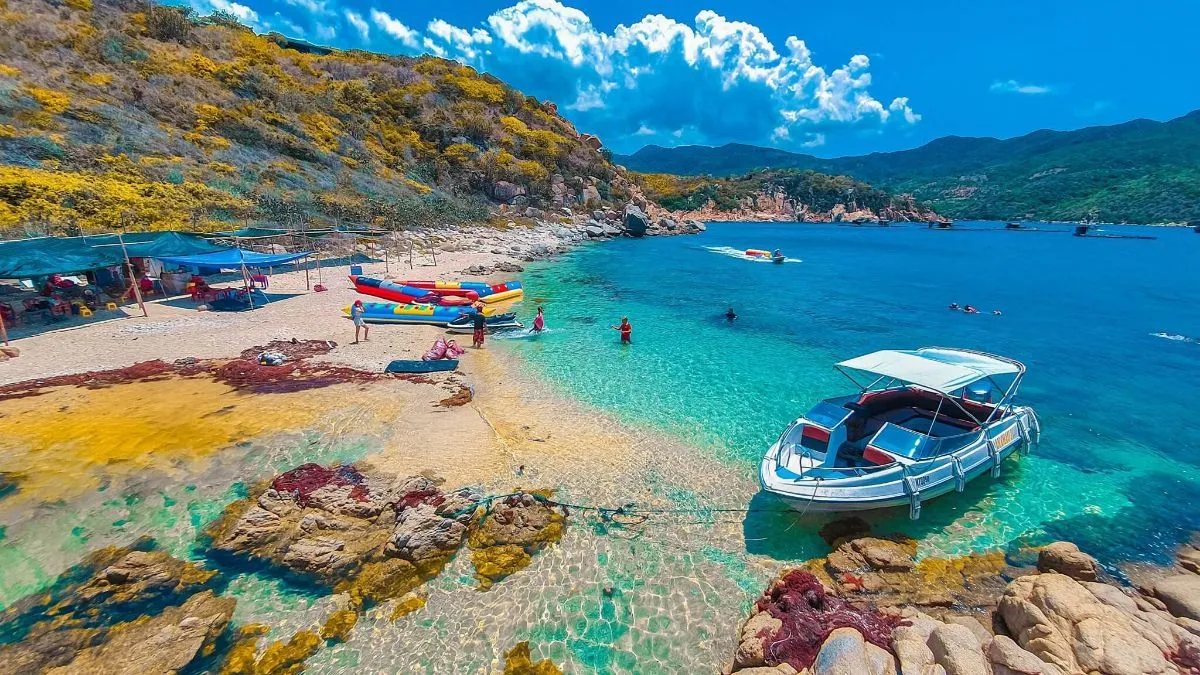 Visiting Vinh Hy Bay, Ninh Thuan by glass-bottom boat to see corals and explore natural beauty