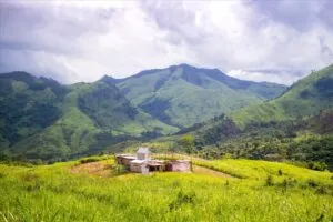 Thảo nguyên Tà Giang xanh ngát, với những con đường mòn nhỏ uốn lượn giữa đồng cỏ, tạo nên một không gian yên bình và thư thái, thích hợp cho việc đi bộ và khám phá.