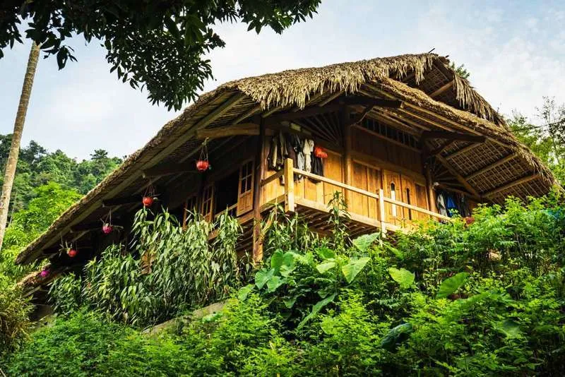Tho Homestay with traditional stilt house style in wild nature