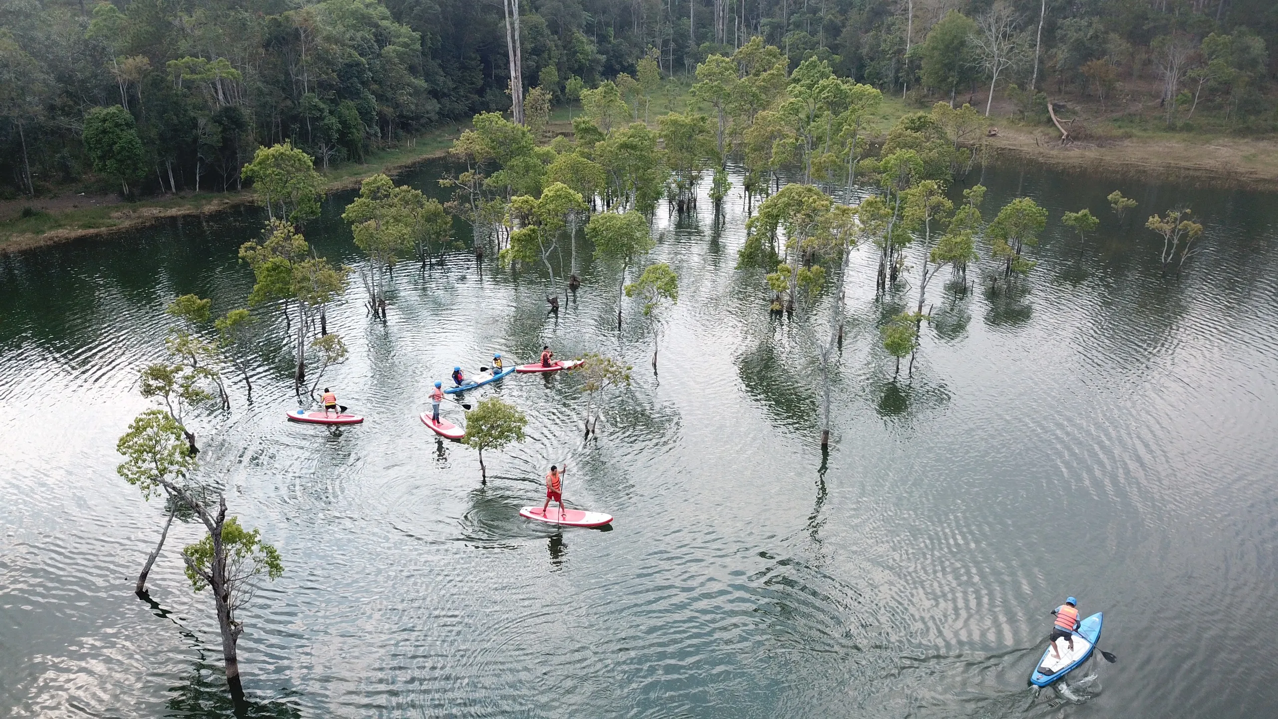 Enjoying the freedom of paddleboarding on the lake