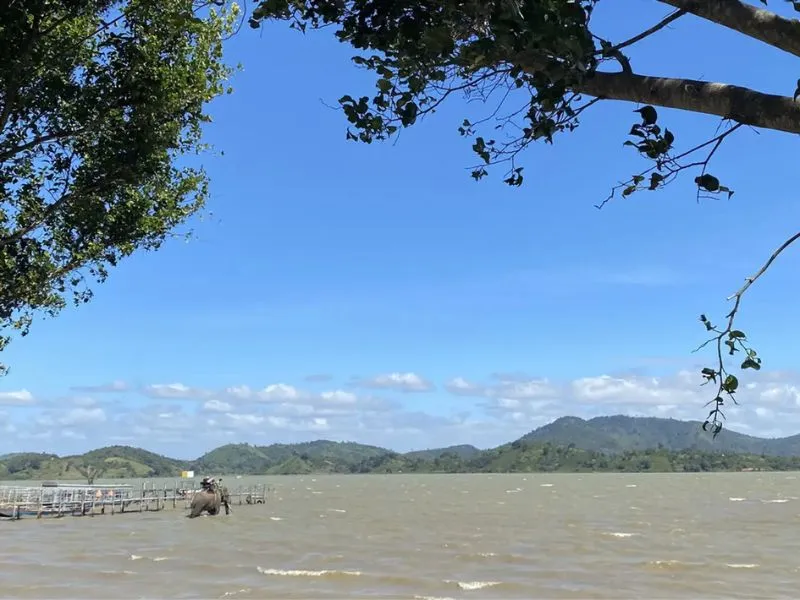 The period from September to December is the most ideal time to travel to Lak Lake Dak Lak
