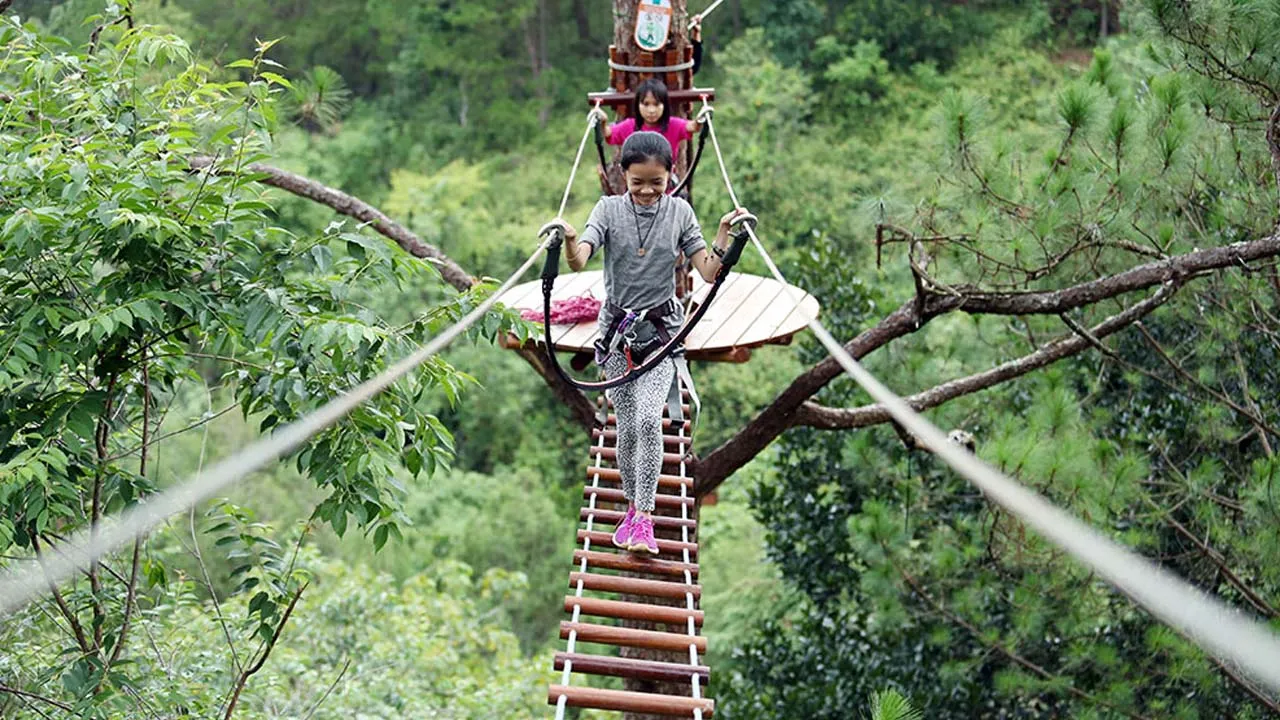 High Rope Course challenge with various levels