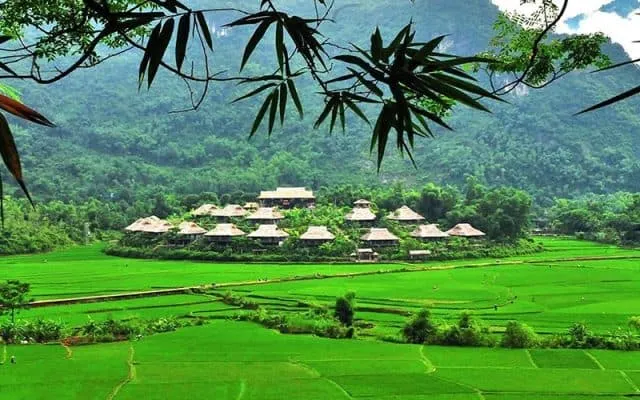 Thung lũng Mai Châu - Vẻ đẹp bình yên và thơ mộng