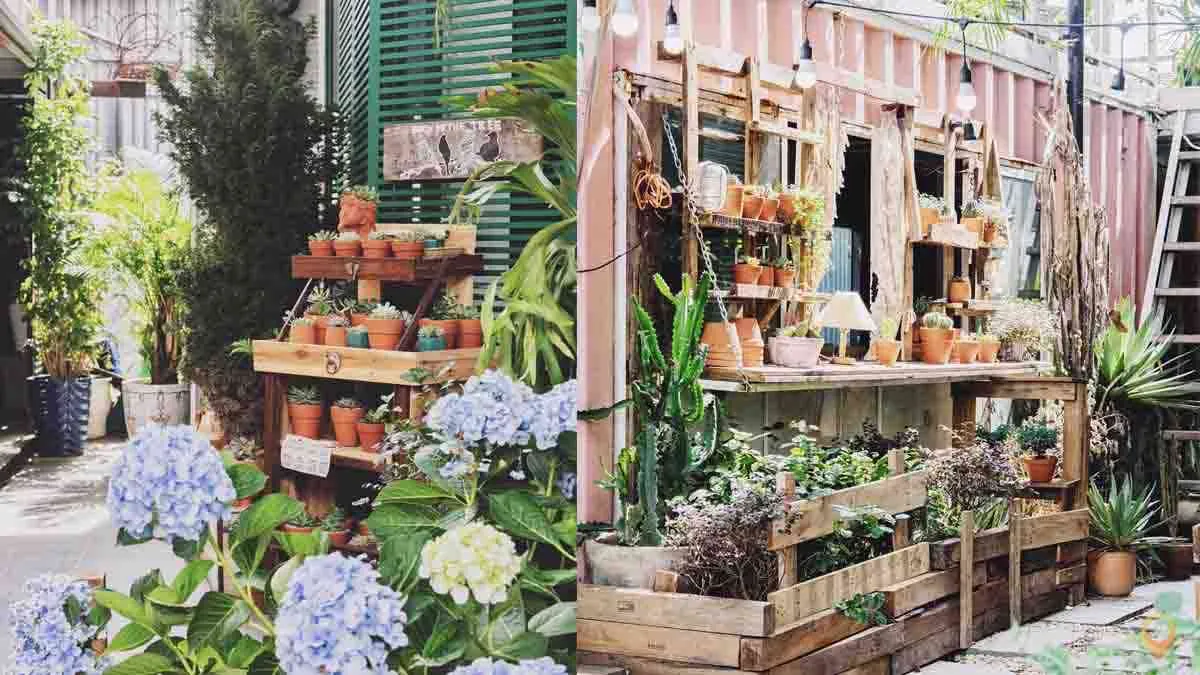 Tiệm Cà Phê Ô Cửa Sổ mang phong cách Đà Lạt mộng mơ đến Đà Nẵng