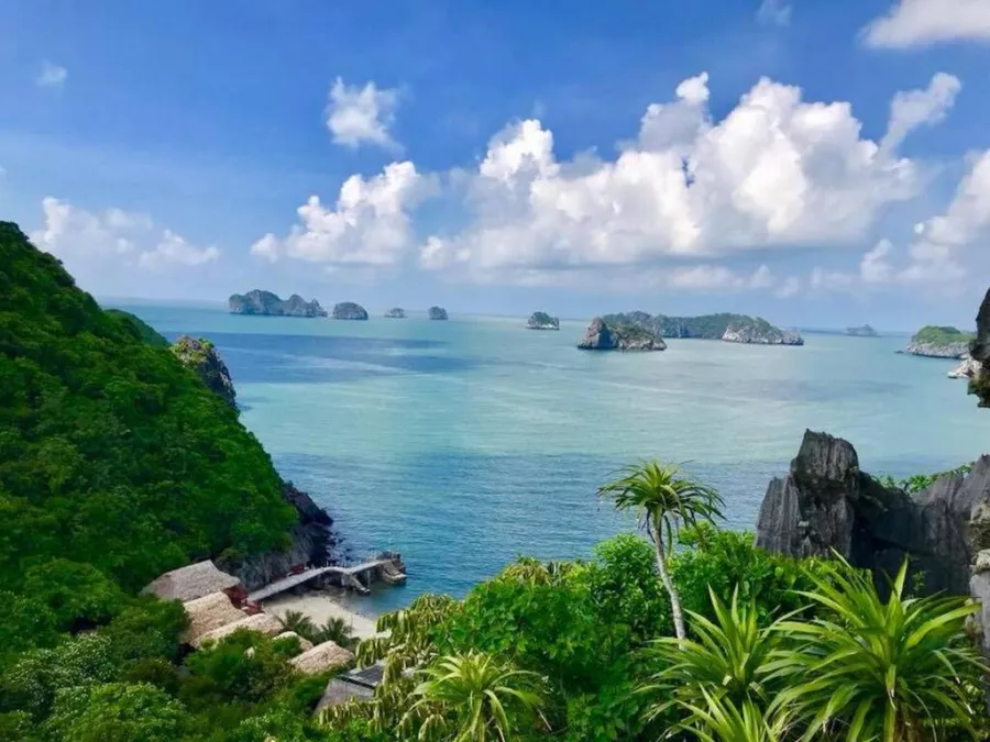 Toàn cảnh bãi Cát Dứa 2 nhìn từ trên cao, với bãi cát cong và rừng cây xanh mướt