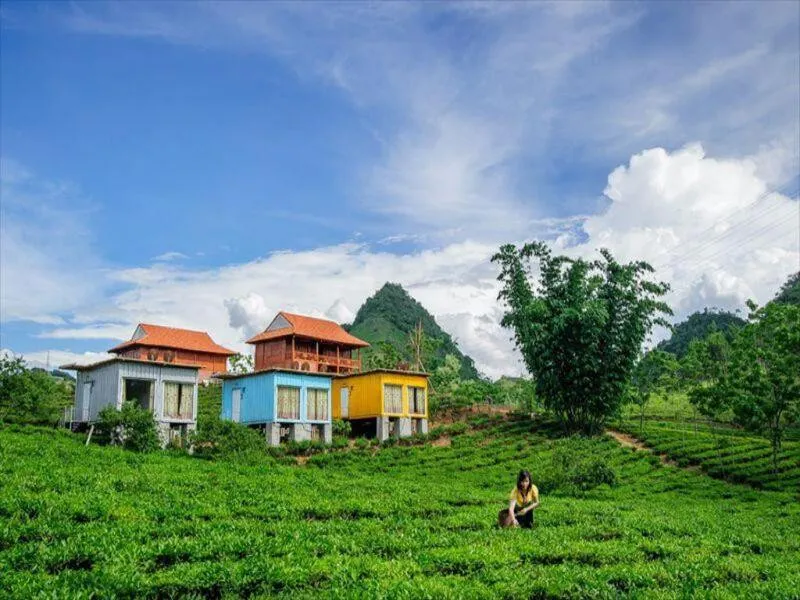 Toàn cảnh Mộc Châu Arena Village với những ngôi nhà container độc đáo và đồi chè xanh mướt