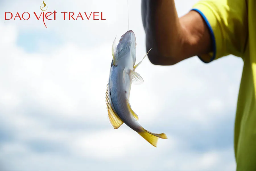 Fishing tour in Phu Quoc