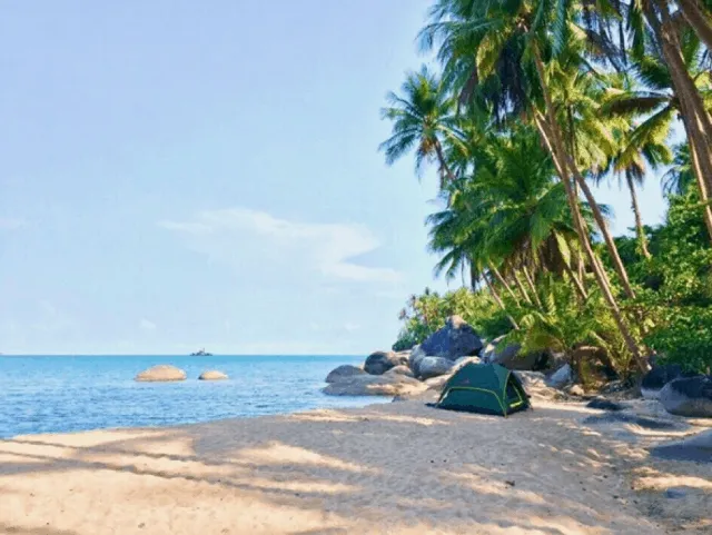 Experience overnight camping on Hon Son Island