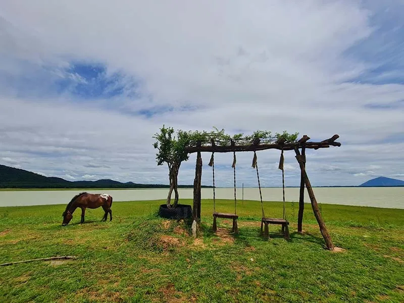 Horse riding experience at Bang Lang Glamping