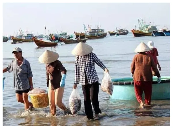 Experience fishing with Rach Vem fishermen