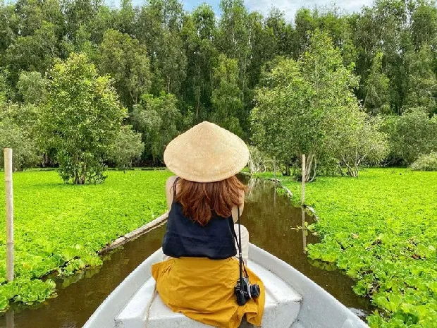 Experience a cool green boat trip at Tra Su Cajuput Forest