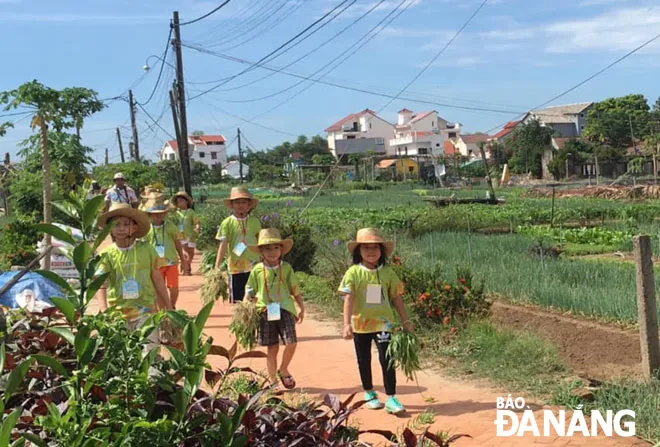 Picking fresh vegetables in a rural garden