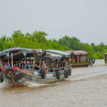 Python farm in Con Lan