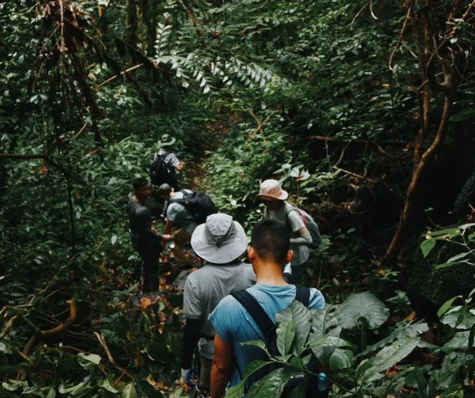 People trekking in the lush forest of Cuc Phuong National Park
