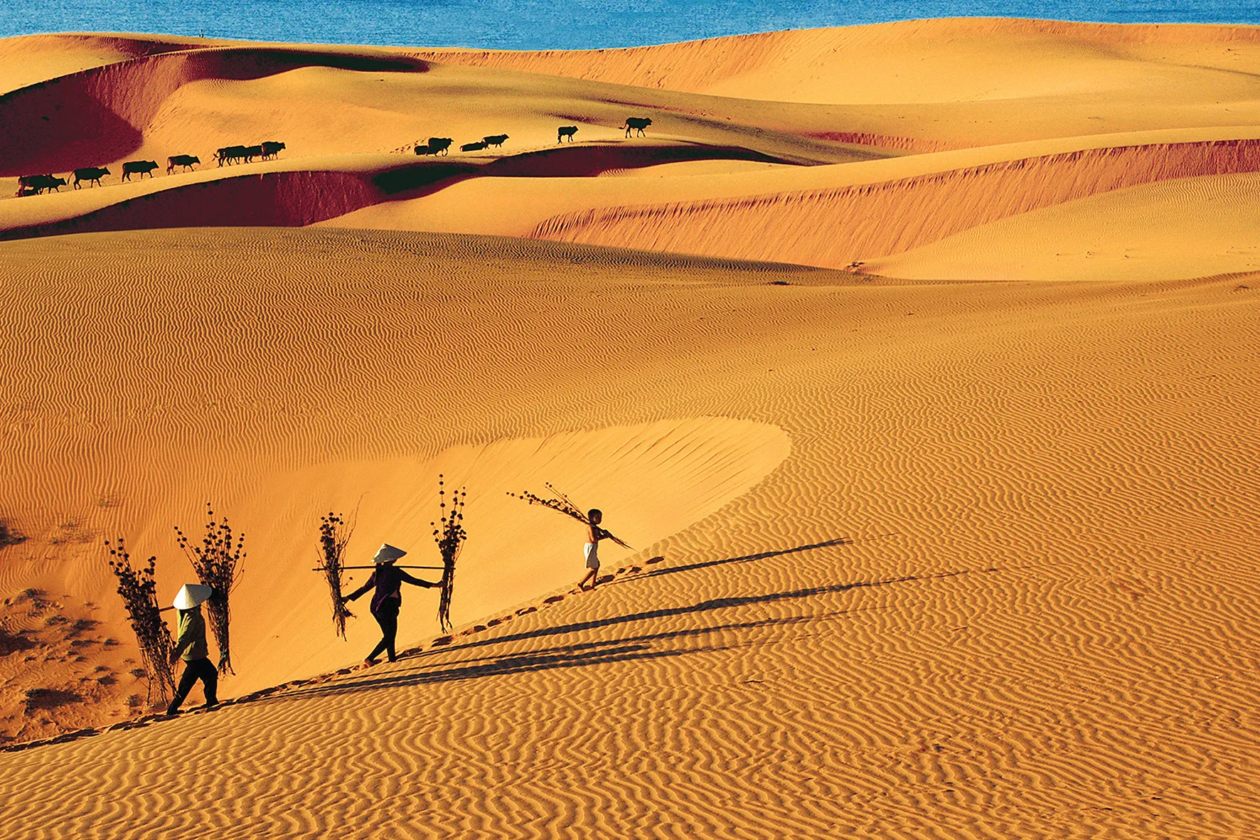 What makes sand sliding in Mui Ne attractive to tourists