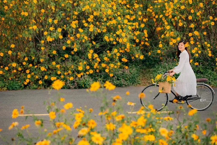 Pure white maxi dress amidst the vibrant yellow wild sunflower forest