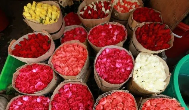 The captivating beauty of flowers on display at Ho Thi Ky Market.