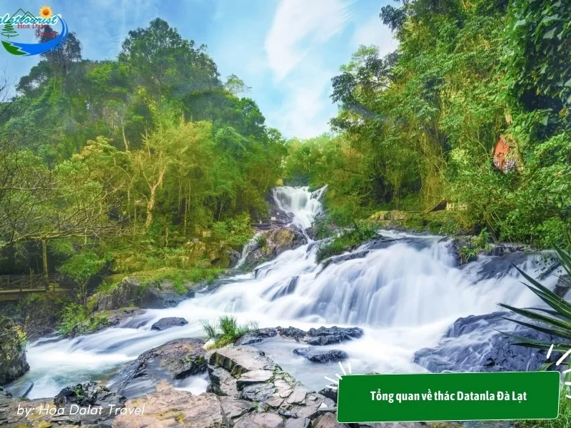 Vẻ đẹp hoang sơ và trong lành của thác Datanla Đà Lạt
