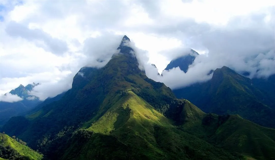 Majestic and mysterious beauty of Tay Con Linh mountain.