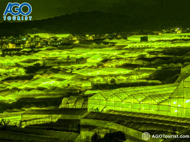 Shimmering beauty of Van Thanh Flower Village at night