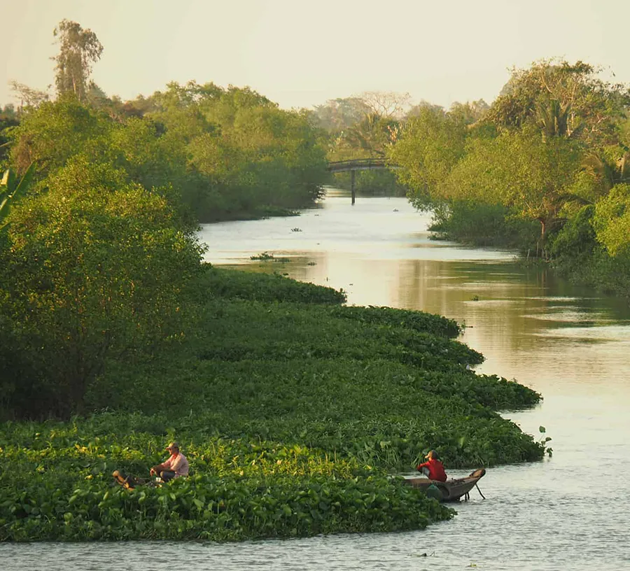 Poetic natural beauty at An Binh Islet in Vinh Long.