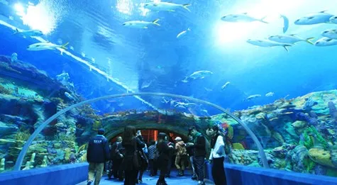 Nha Trang Oceanographic Institute, a place to explore the ocean world