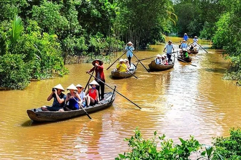 Organic rambutan orchard in An Binh Islet, Vinh Long, Vietnam, one of the attractive destinations for orchard tourism.