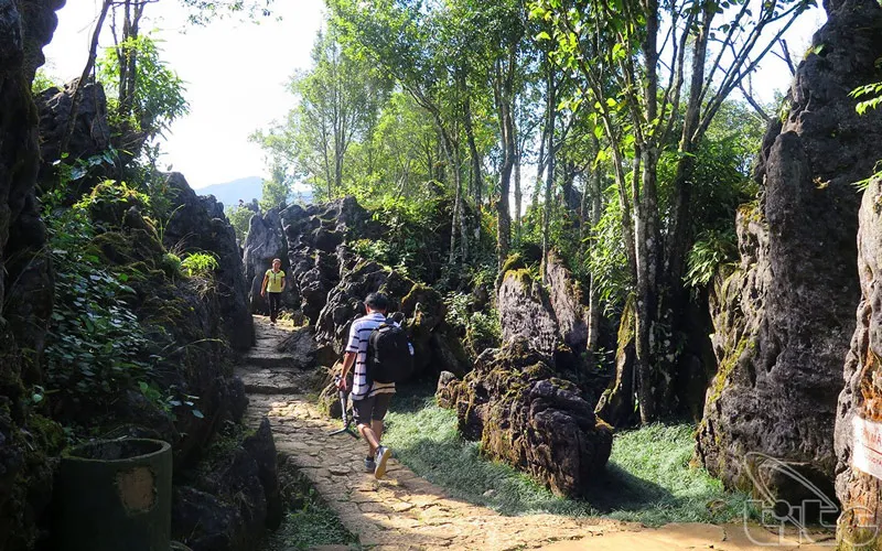 Majestic Thach Lam Rock Garden on Ham Rong Mountain