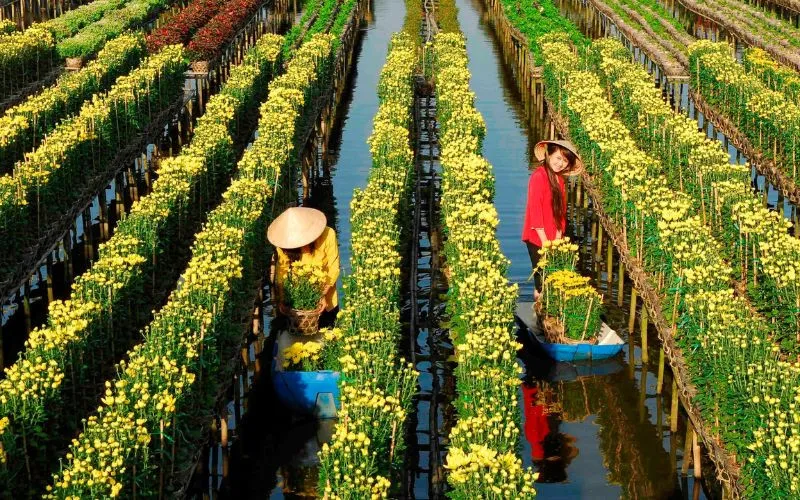 An Thanh flower village in An Giang during spring