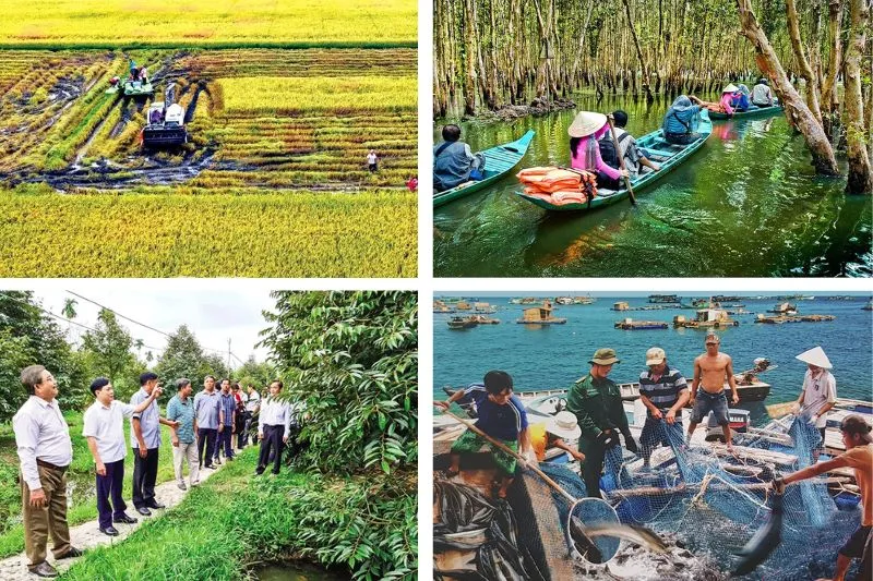 Lush organic fruit orchard in the Mekong Delta, Vietnam, where visitors can hand-pick and enjoy fresh fruits.