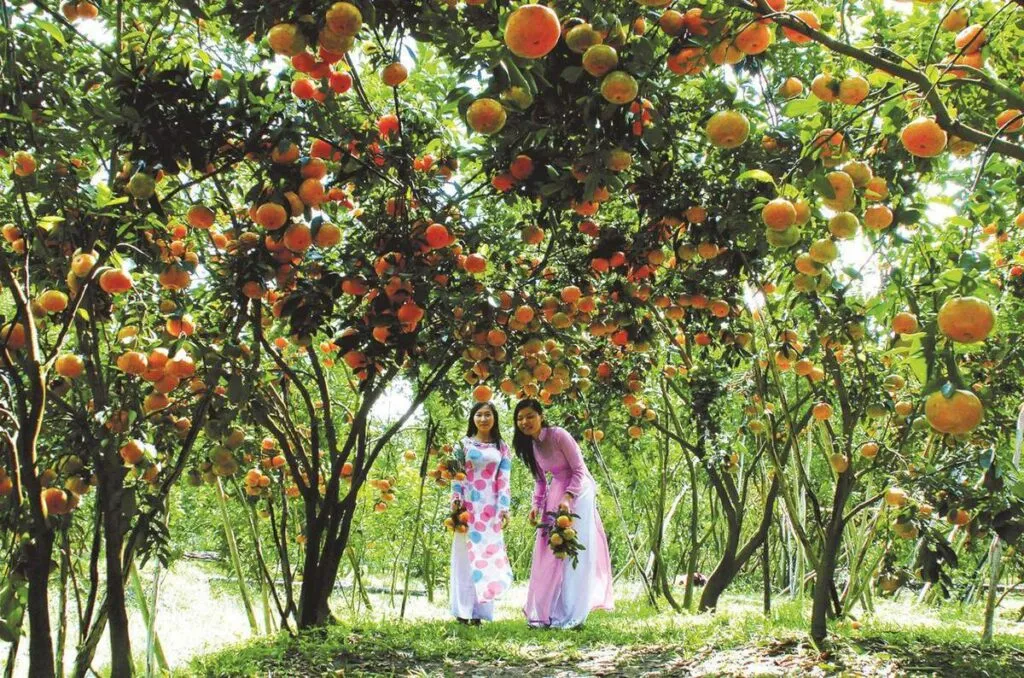 A family enjoying fresh fruits together at Ngoc Nhan Fruit Orchard, Vinh Long, Vietnam.