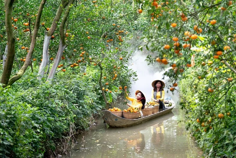 Green and peaceful Trung An fruit orchard