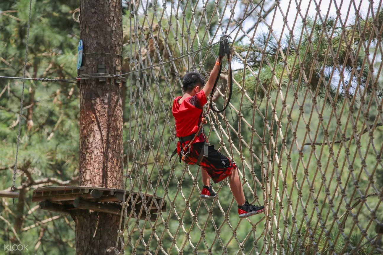 Overcoming personal limits with High Rope Course