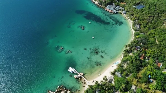 Whale Island Resort là điểm đến lý tưởng cho những ai muốn trở về với thiên nhiên!